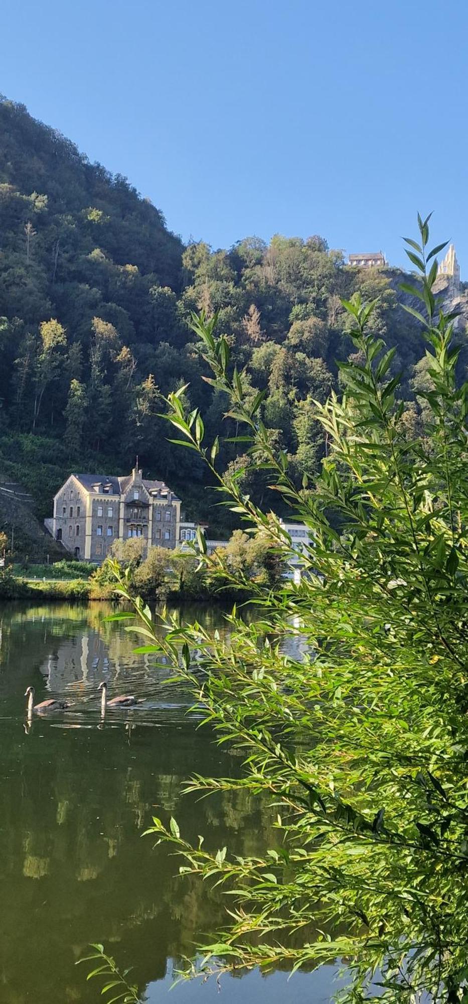 Wohnwerk Altbau Suite Traben-Trarbach Exteriör bild